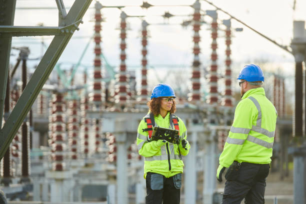 Best Electric Panel Repair  in Monticello, FL